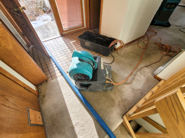  Bear, DE Water damage restoration Pros