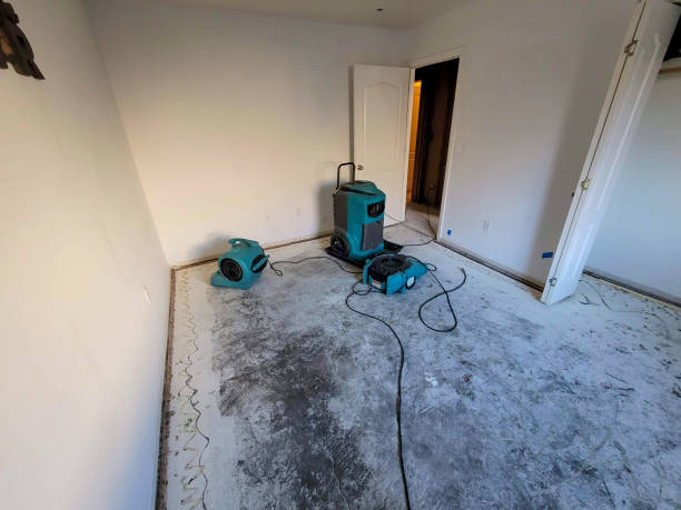 Best Flooded house restoration  in Bear, DE