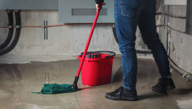 Best Ceiling water damage repair  in Bear, DE