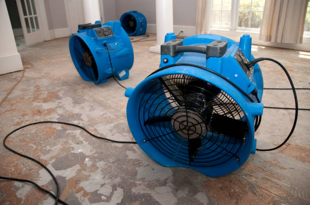 Best Professional water damage repair  in Bear, DE