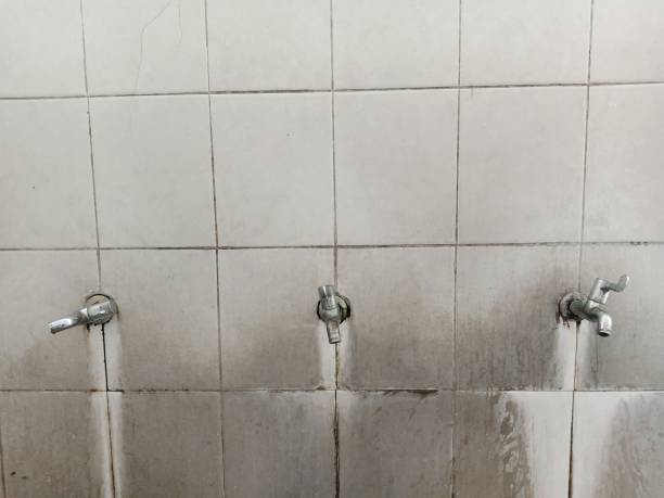 Best Water damage restoration near me  in Bear, DE