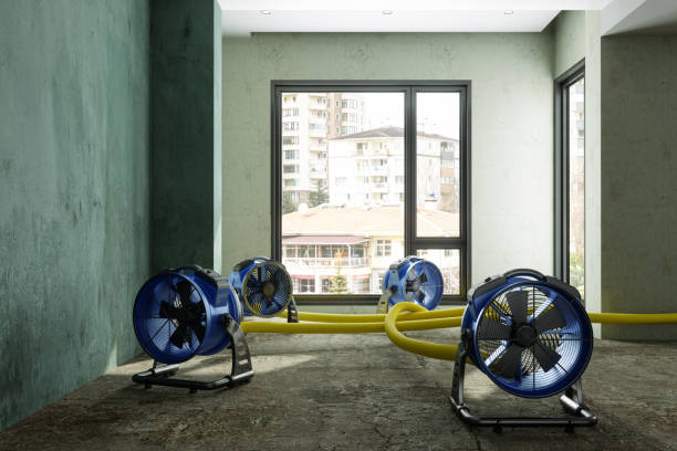 Best Residential water damage restoration  in Bear, DE
